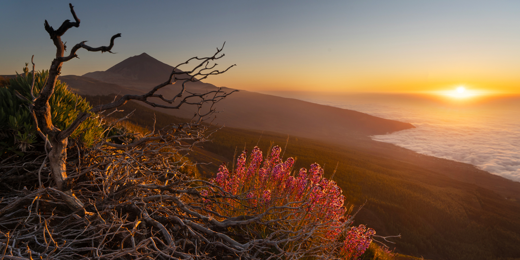 Tenerife Sunset Tenerife Sunset