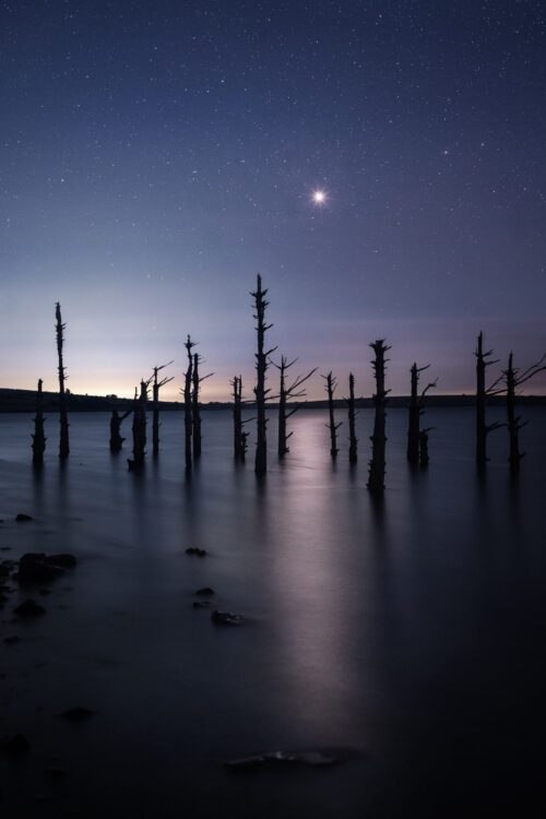 Jupiter Rising