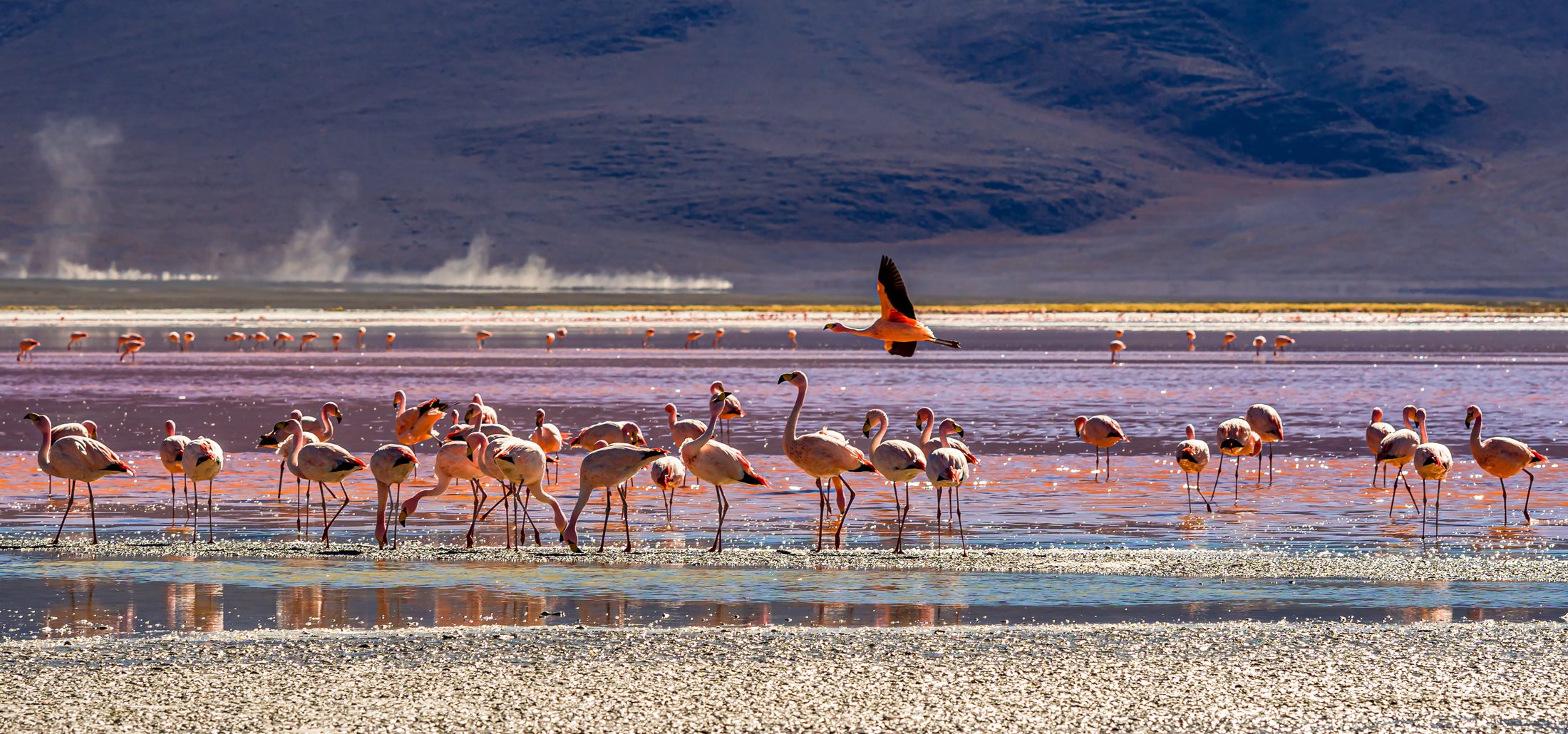 Bolivia Travel Tour