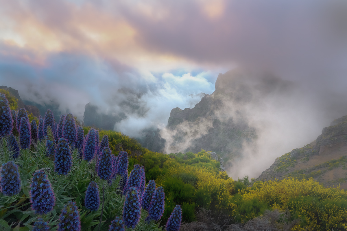 Madeira Photo Tuition