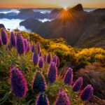 Photo Tour Madeira