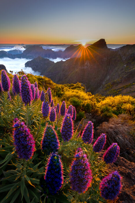 Photo Tour Madeira