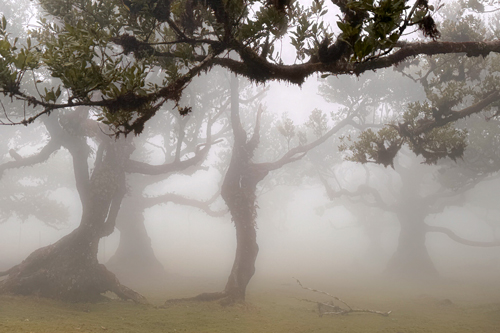 Madeira Photo Workshop