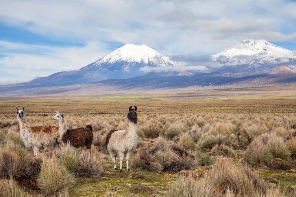 Bolivia Photo Tour 3