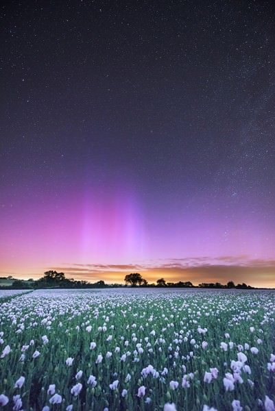 Northern Lights Dorset England