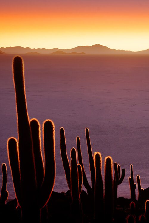 Bolivia Salar de Uyuni