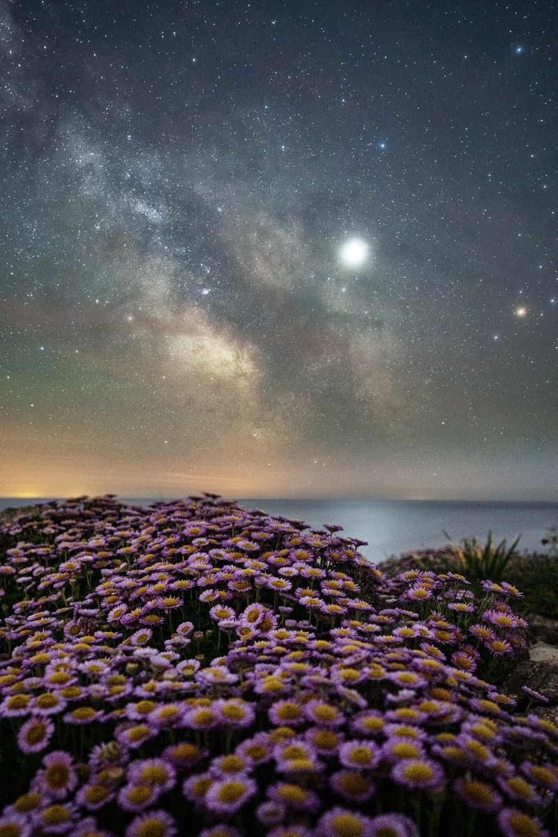 Dorset Milky Way