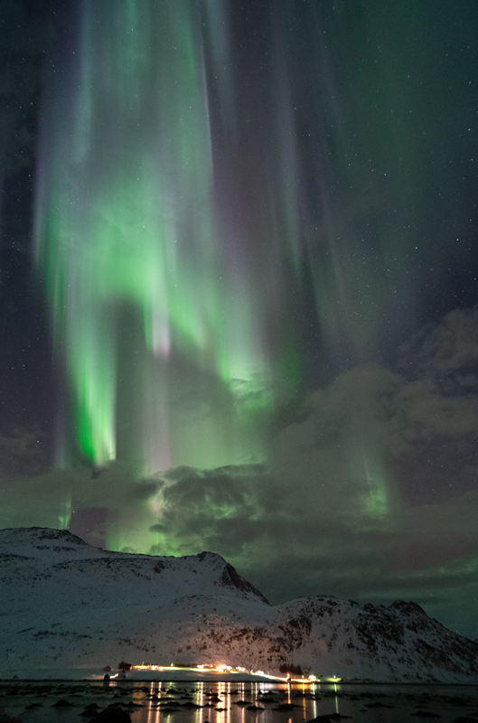 Lofoten Northern Lights