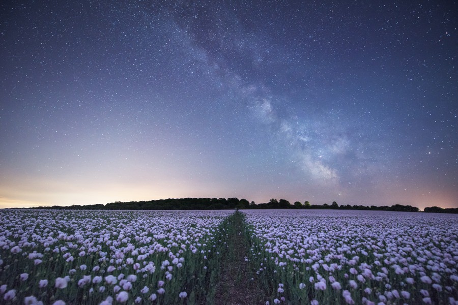 Dorset Night Sky Photography