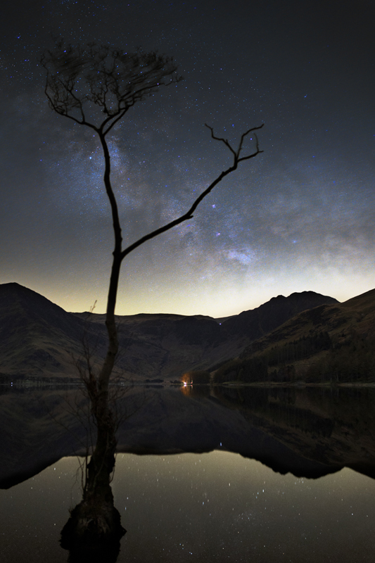Buttermere Tree Milky Way