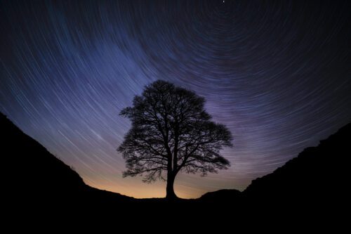 Sycamore Gap Tree Night Photography