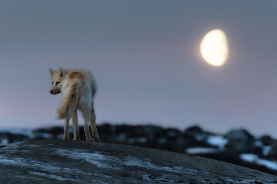 Photography Workshop Greenland