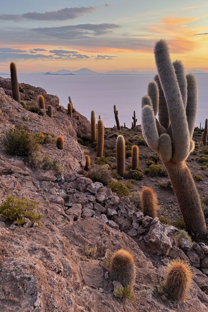 Bolivia Photo Tour