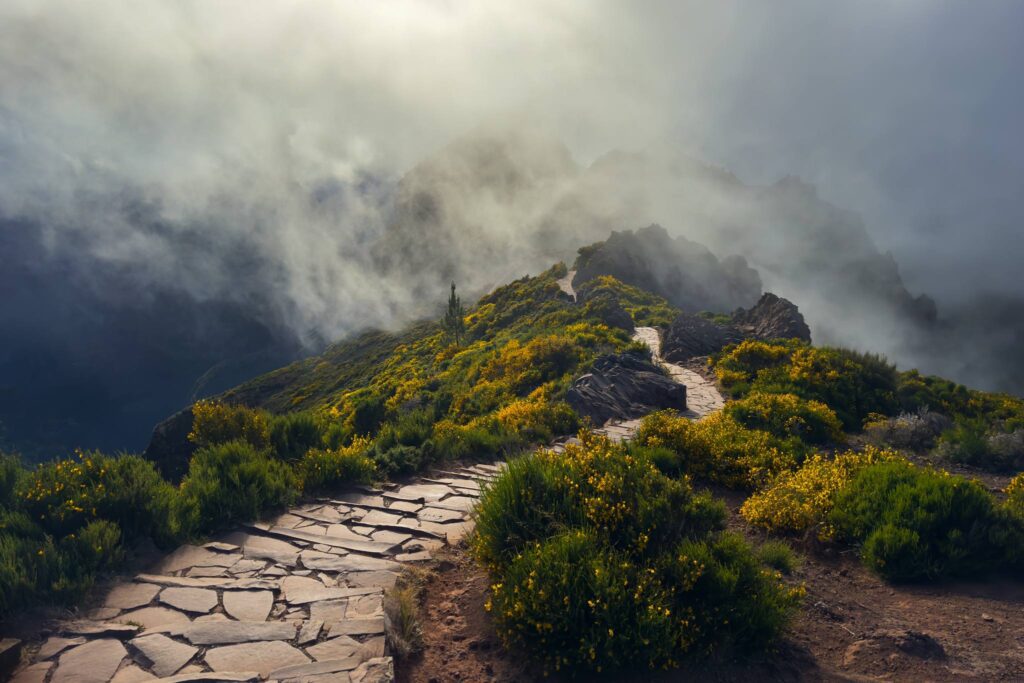 Madeira Photo Tour and Workshop