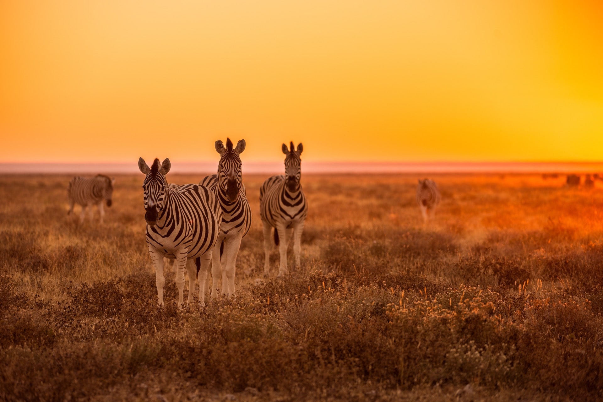 Namibia Photo Tour 2