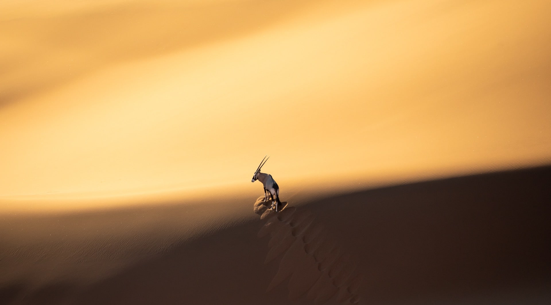 Namibia Photo Tour 4
