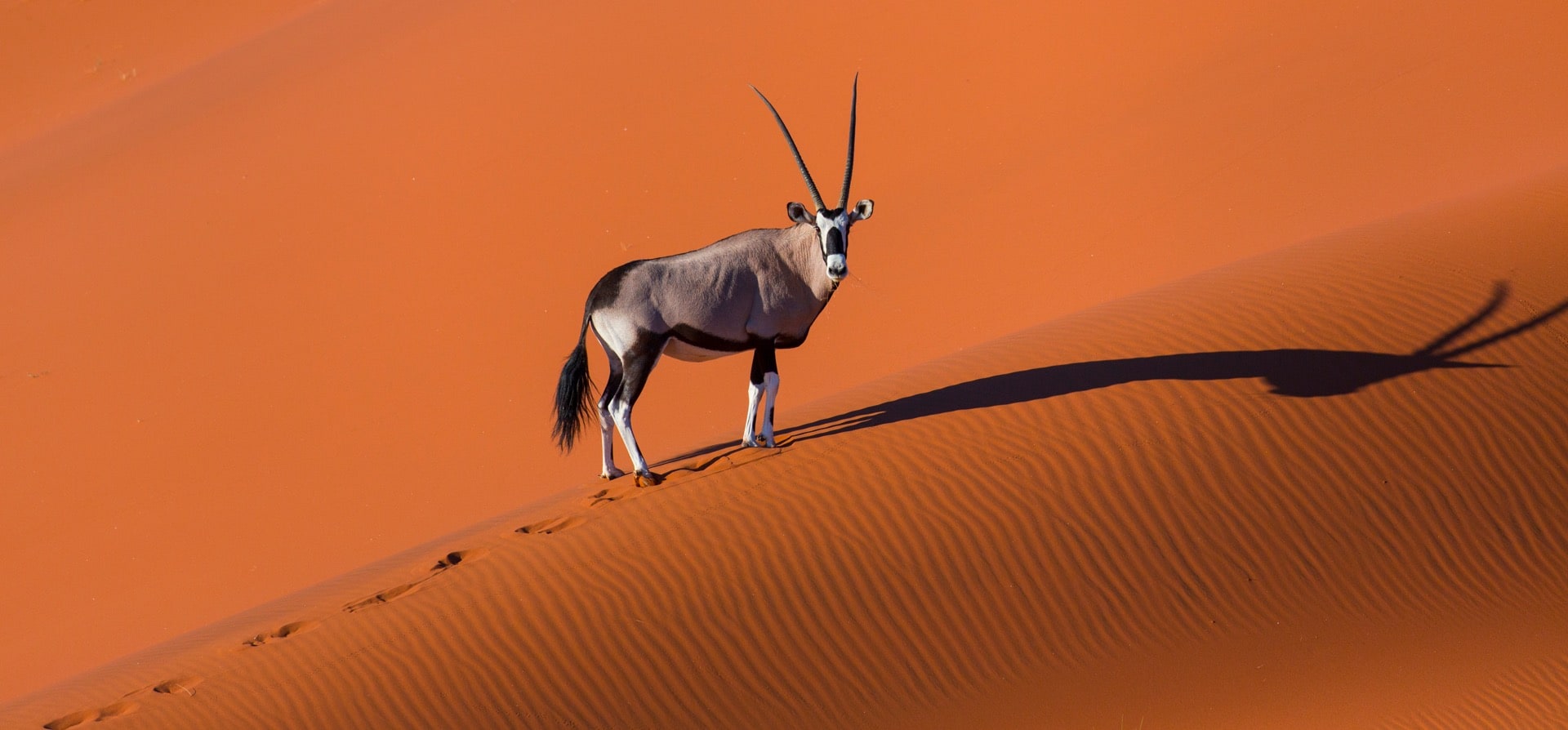 Namibia Photo Tour 5 Namibia Photo Tour 5