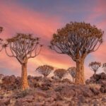 Namibia Photography Tour 3