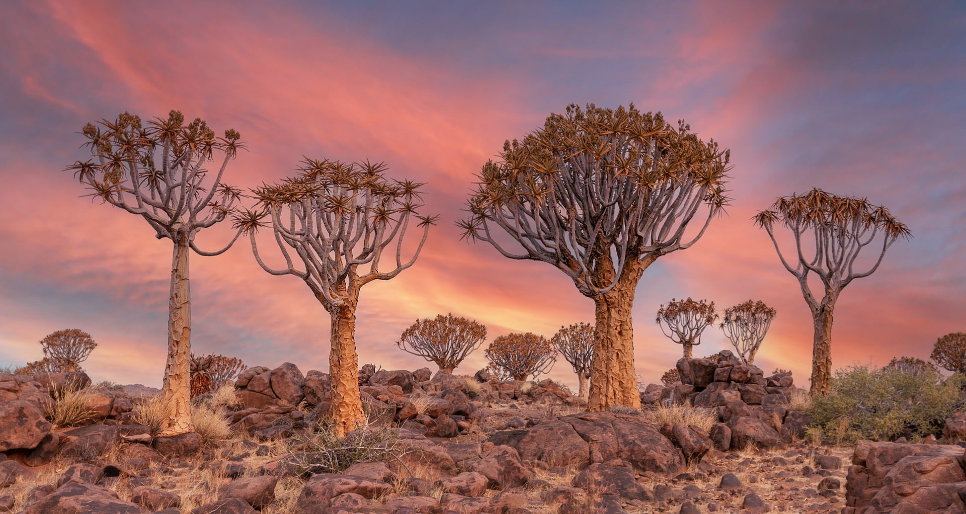 Namibia Photography Tour 3