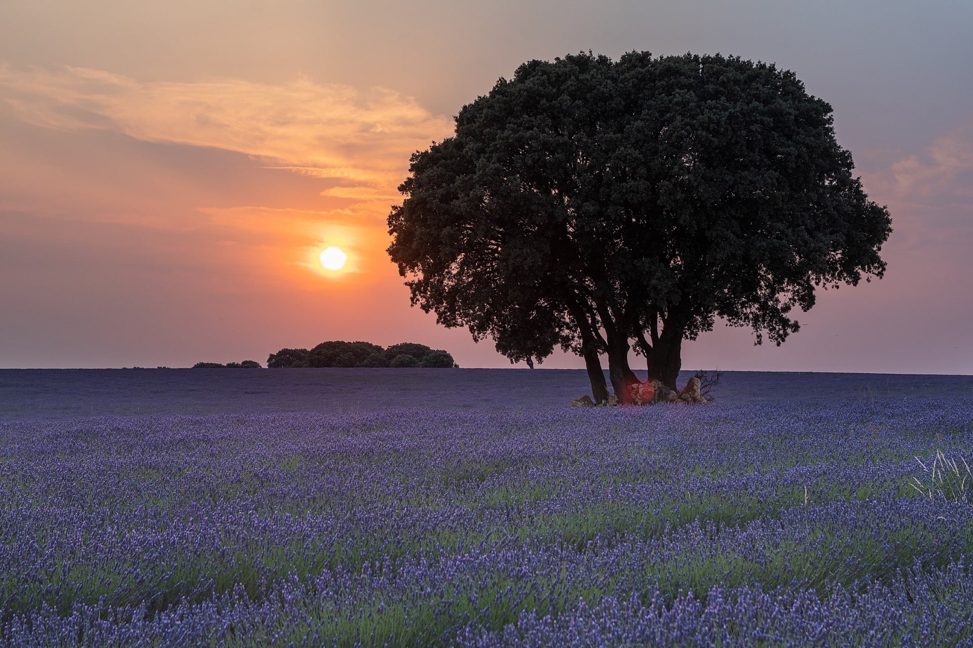 Central Spain Castles & Lavender 7 2