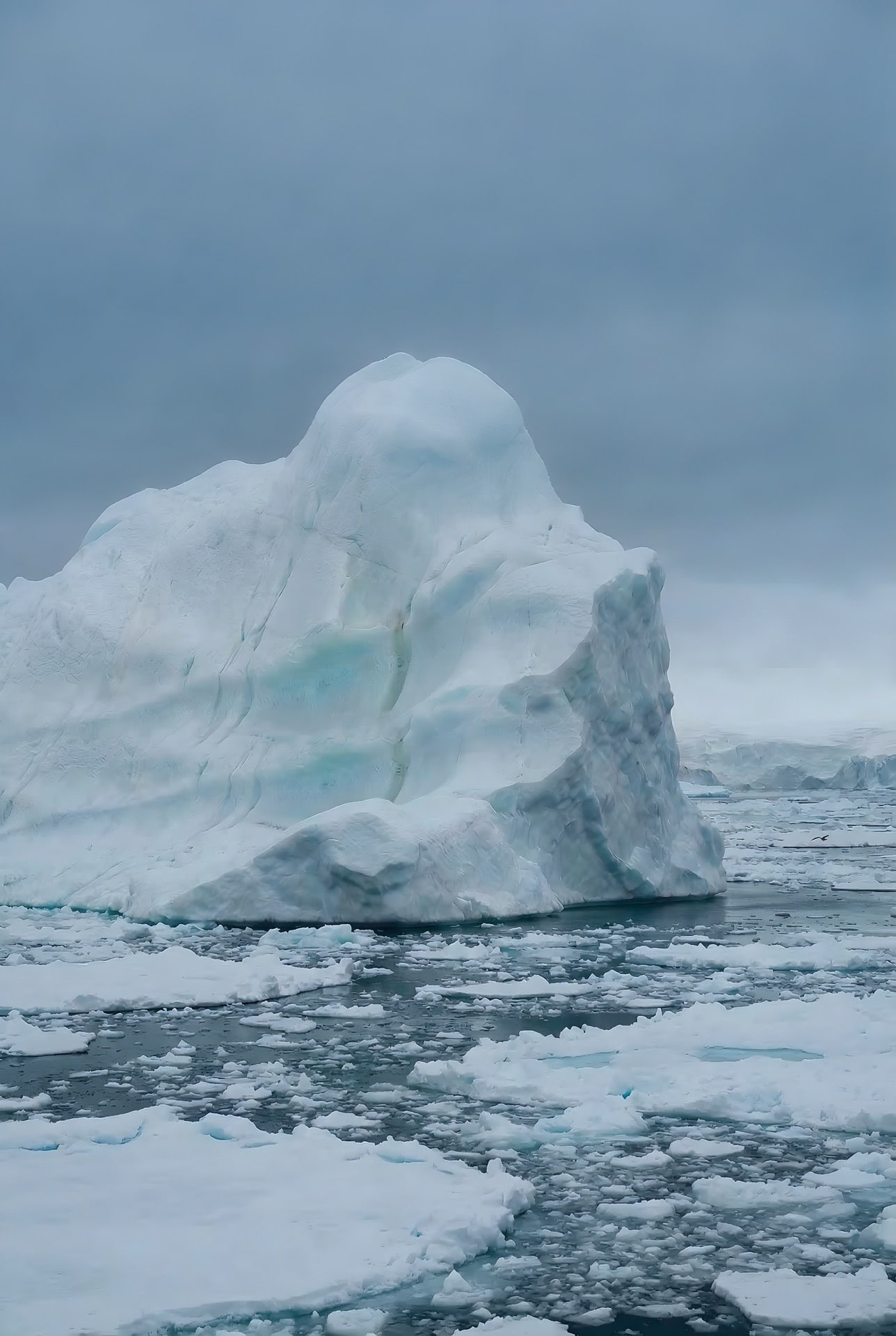 Greenland winter