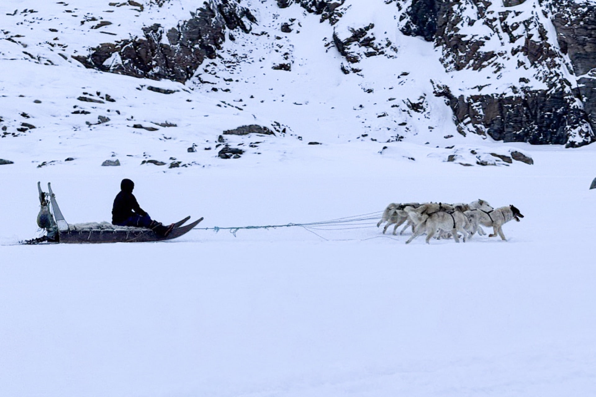 Sled Dogs Greenland 2