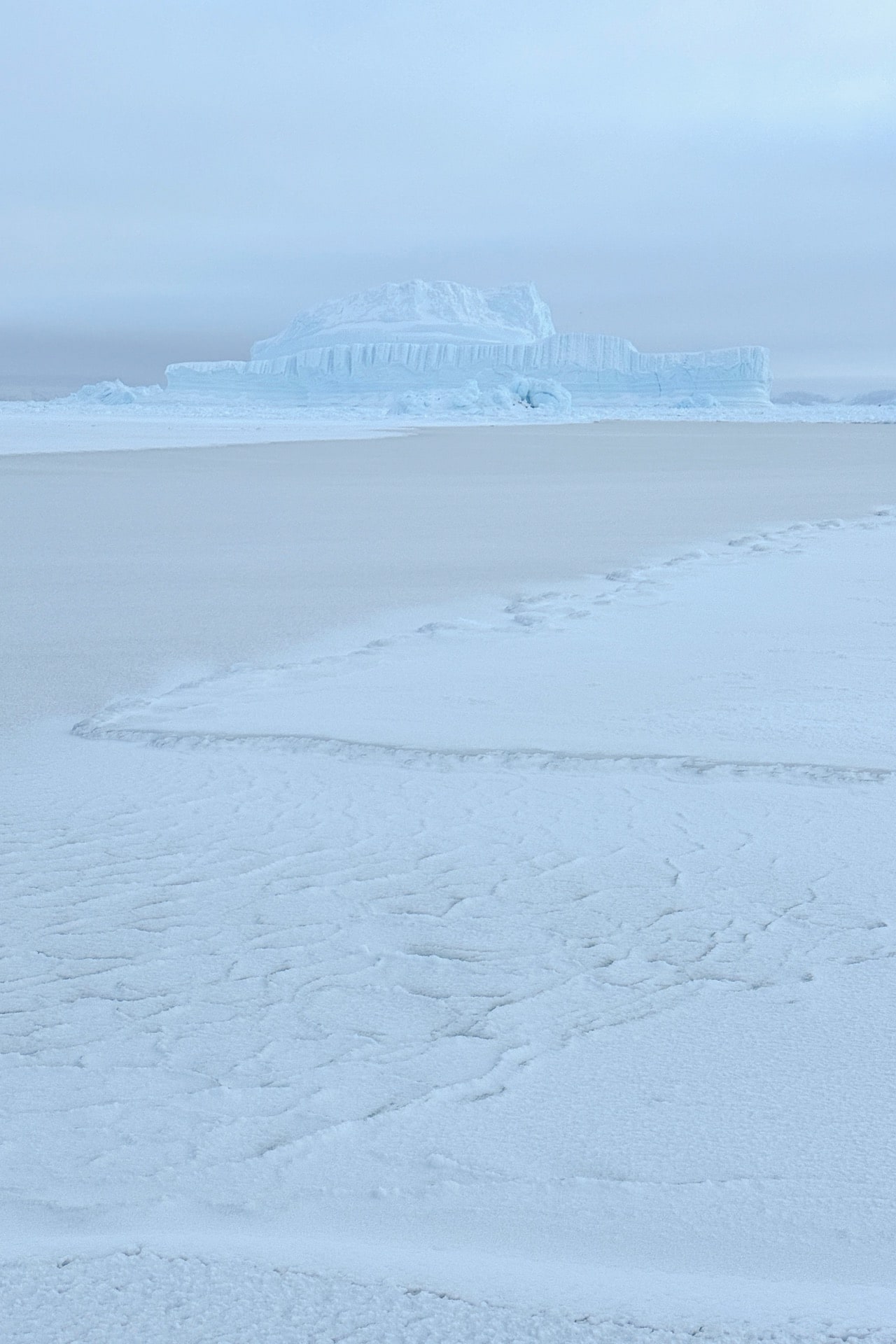 Walking on sea ice