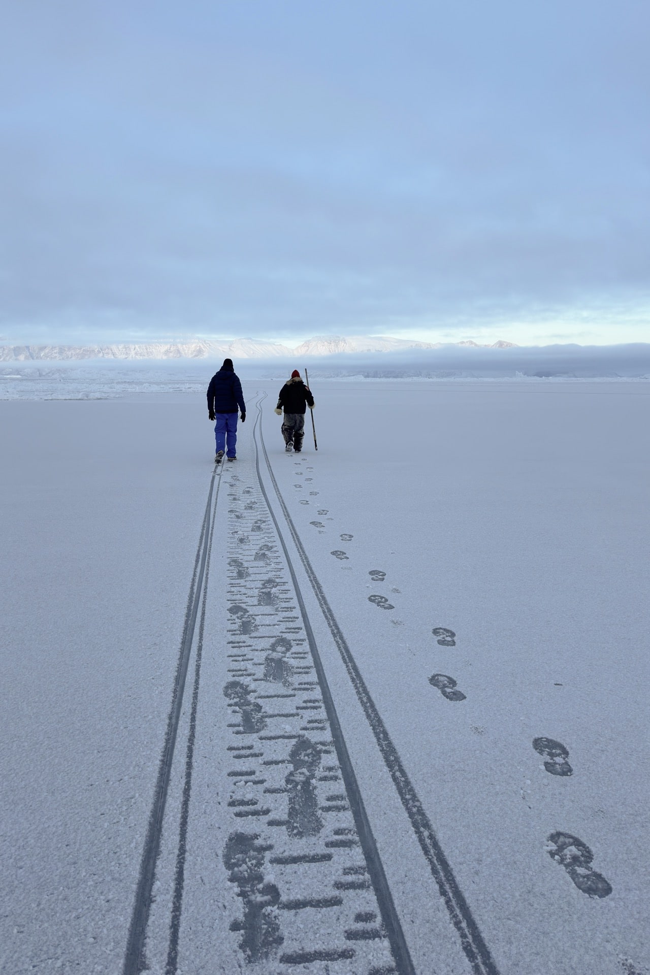 Walking on the sea ice